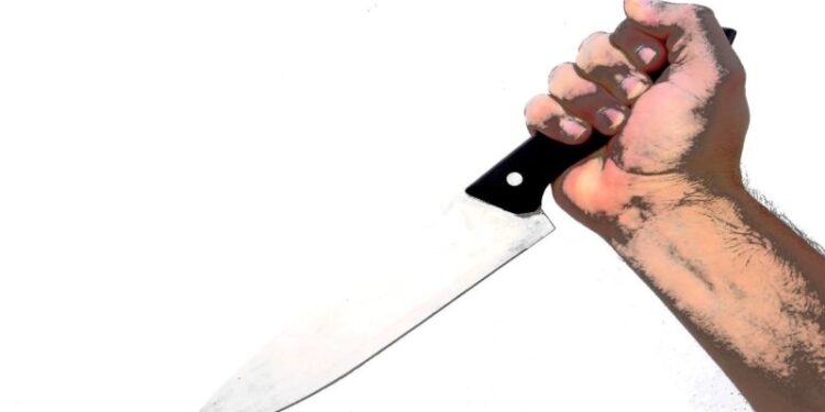 Man Stabs 65-Year-Old Aunt To Death