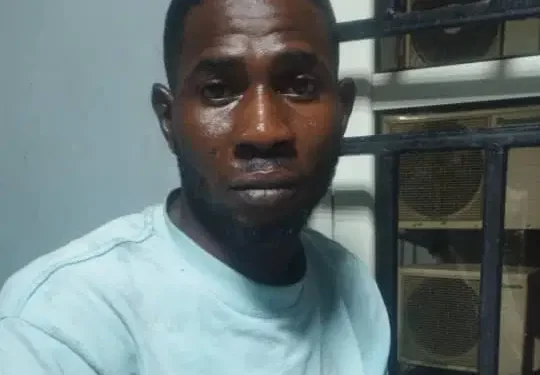 Man Stabs Pregnant Wife, Sets Body Ablaze Months After Wedding