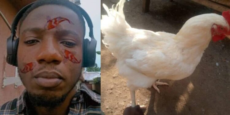 Man shocks many, lists 7-month-old chicken for ₦55k, calls it ‘the cheapest’