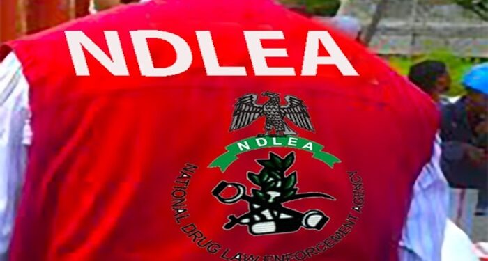 NDLEA arrested 546, secured 46 convictions in 2024 – Oyo commander