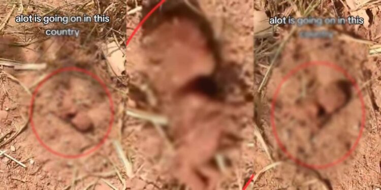 Outrage as newborn baby’s lifeless body is found in bush (Graphic)