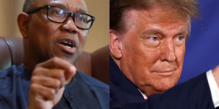 Peter Obi Is Nigeria’s Donald Trump – Tinubu’s Aide, Temitope Ajayi