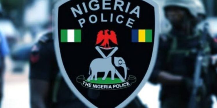 Ekiti state police ban ‘illegal’ gatherings and protests