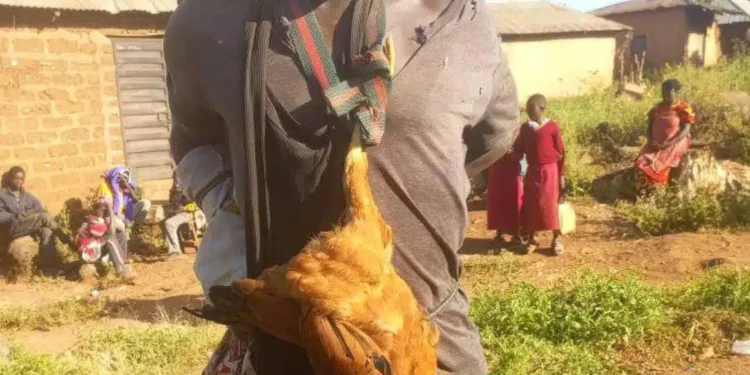 Man caught stealing chicken forced to wear it as a tie in public