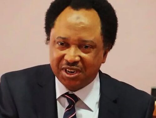 Shehu Sani warns of what would happen if CBN continues increasing ATM withdrawal fees