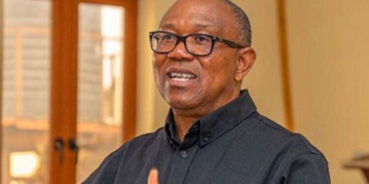 Peter Obi’s fall from grace is baffling – Kogbara