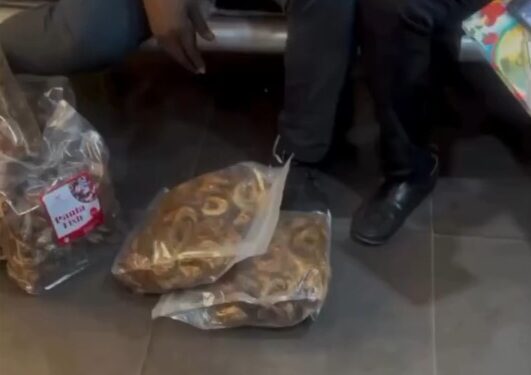 Video purportedly captures staff of a logistics company eating packaged stock fish a customer brought for waybill