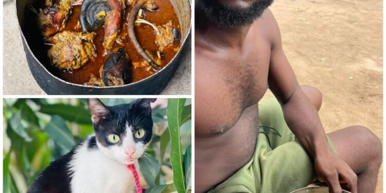 Man kills his pet and uses it to prepare a meal for his friends on his birthday