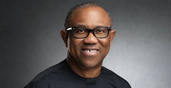 When we compare ourselves to countries that gained independence around the same time, Nigeria stands out as a nation in decline – Peter Obi