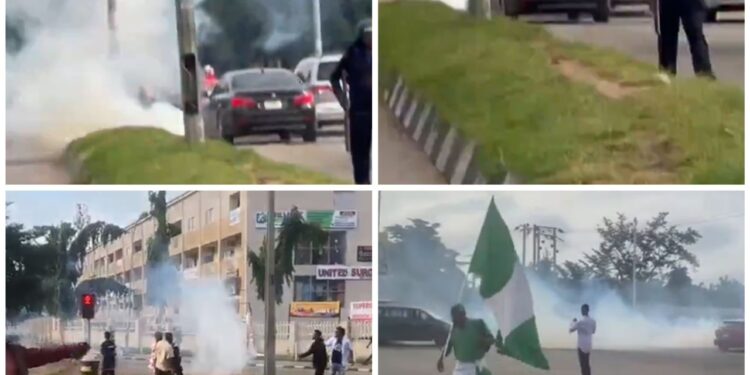 Police fire teargas at protesters in Abuja (videos)