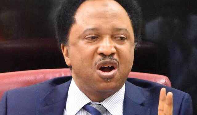 There is no such title as the World’s richest Man or Africa’s richest man – Senator Shehu Sani