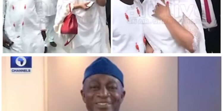 Senate spokesperson knocks Senator Natasha Akpoti-Uduaghan and her husband for kissing as they arrived the National Assembly