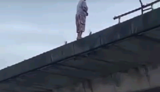 Woman climbs flyover and plunges to her death in Delta (video)