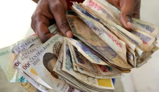Withdraw old naira notes before January 2025 – House of Reps directs CBN