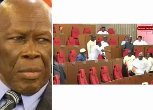 Shouting match in Senate over motion to immortalise former NEC chairman, Humphrey Nwosu
