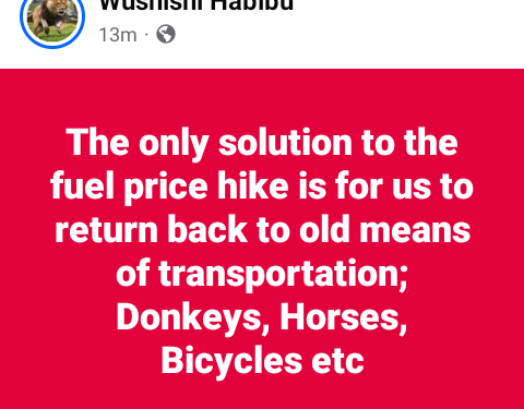 The only solution to fuel price hike is for us to return back to old means of transportation like donkeys and horses – Niger State Govt official says