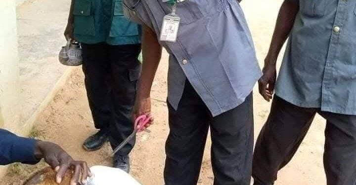 Kano Hisbah arrests youths for not fasting and ‘indecent’ haircuts