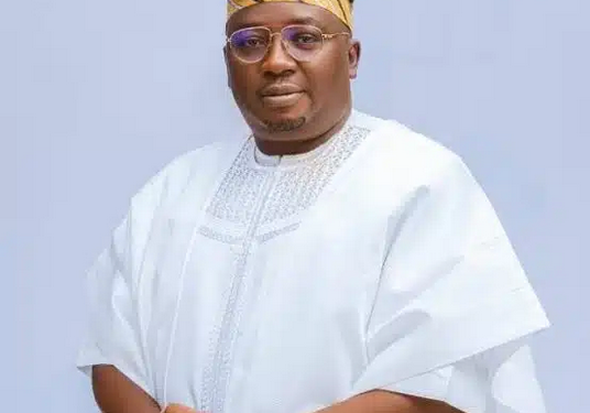 Northern Nigeria blackout: Electricity to be restored within 72 hours – Minister of Power