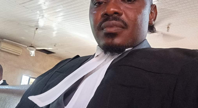 “I will waste you and nothing will happen” – Armed Prison Officials slap lawyer (video)