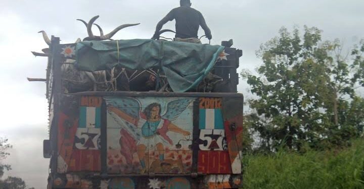 FRSC to impound vehicles moving animals with humans