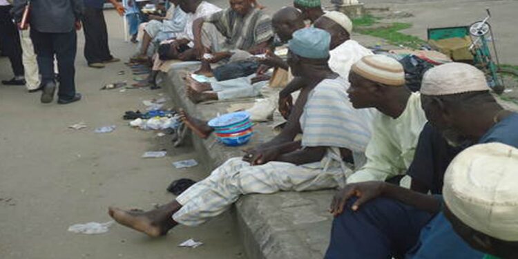 “We are hungry, end protests” – Kano street beggars cry out