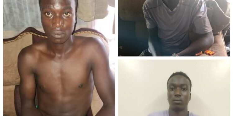 21-year-old man kills his employer a month after resuming work; dumps her body in septic tank