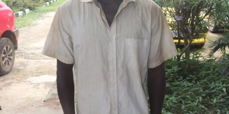 I laced his food with rat poison before chopping the body into piece – Man narrates how he killed his 65-year-old father in Minna