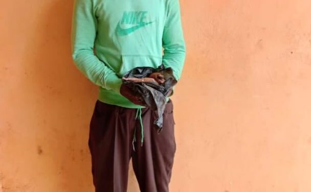 Police arrest man for allegedly poisoning cows in Ogun