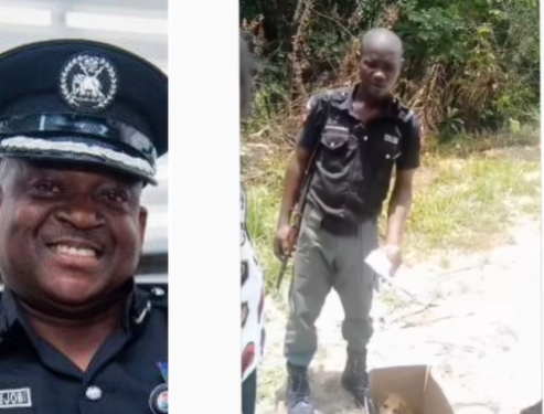 PRO Olumuyiwa Adejobi, reacts to trending video of a police officer in Bayelsa asking for a dog licence from a resident
